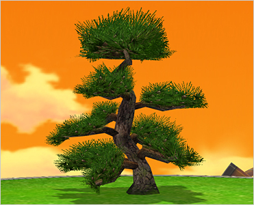 Pine Tree